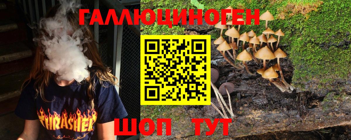 Элиста  Галлюциногенные грибы Psilocybine cubensis  Вход с VPN 